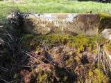 image of grave number 728726